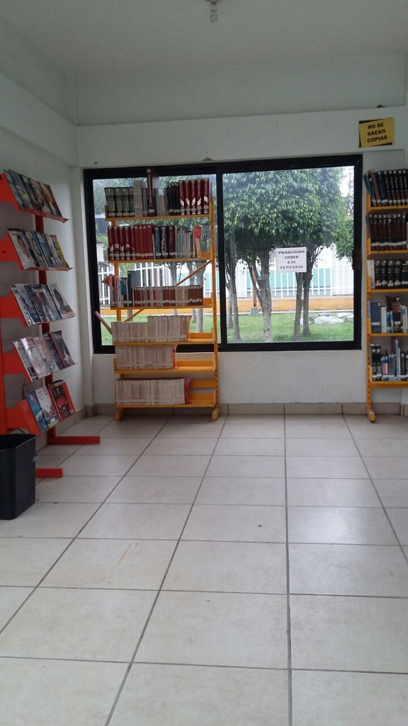 imagen3