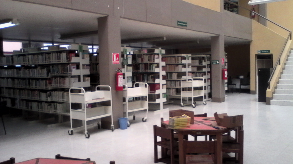 imagen0