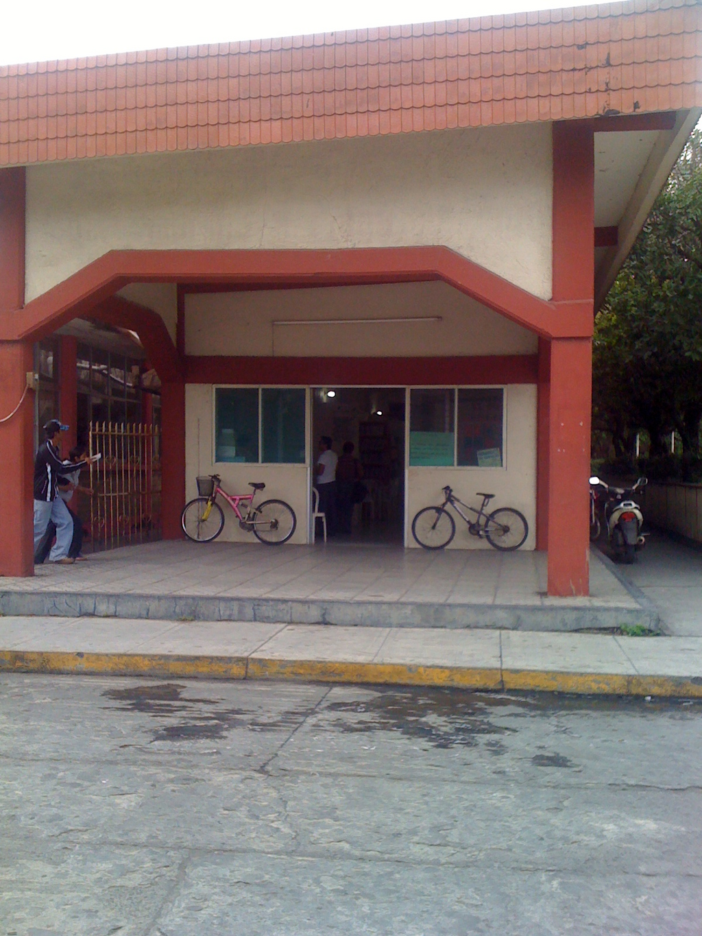 imagen1