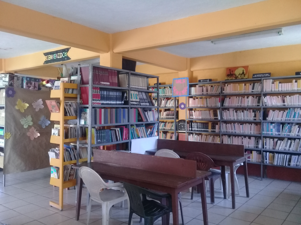 imagen1