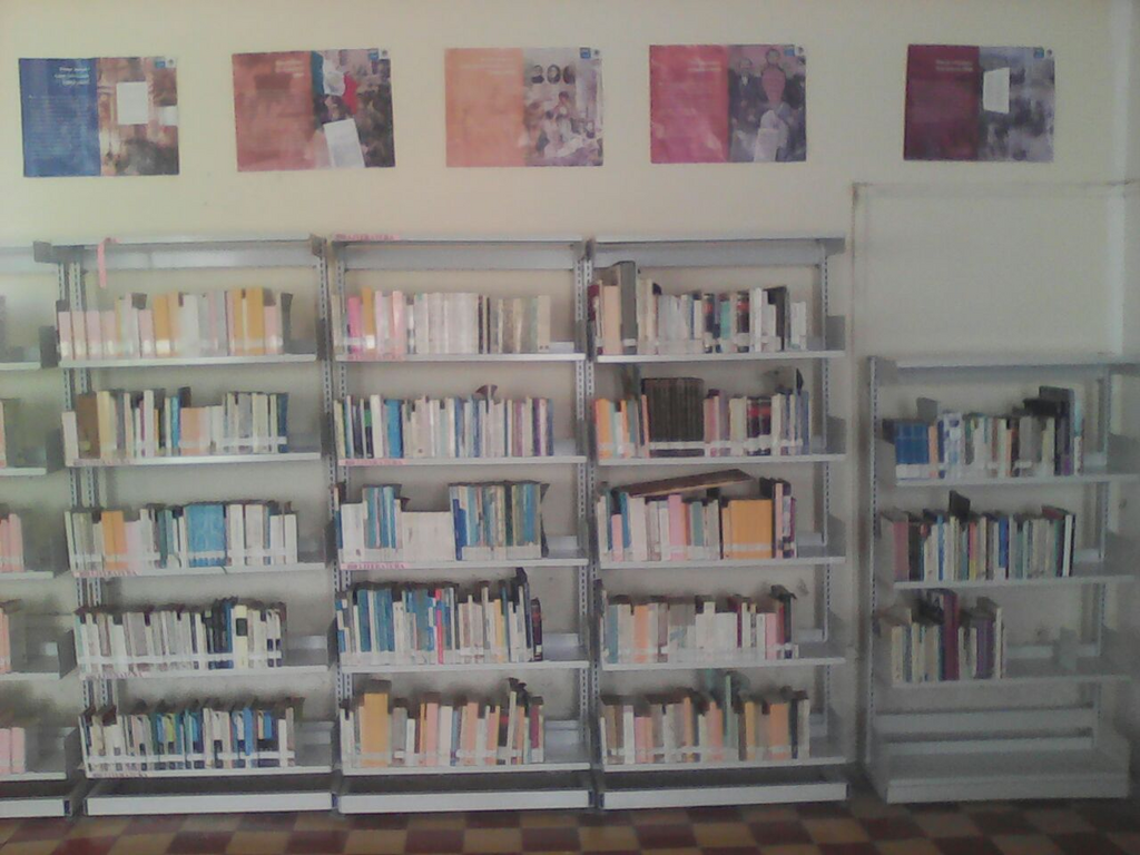 imagen3