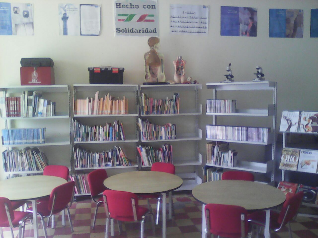 imagen1