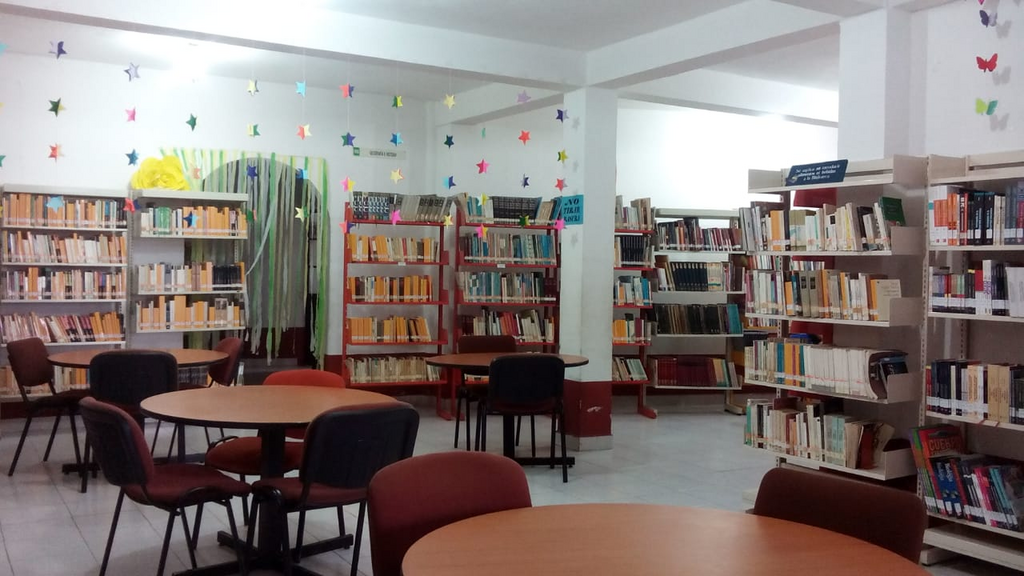 imagen2