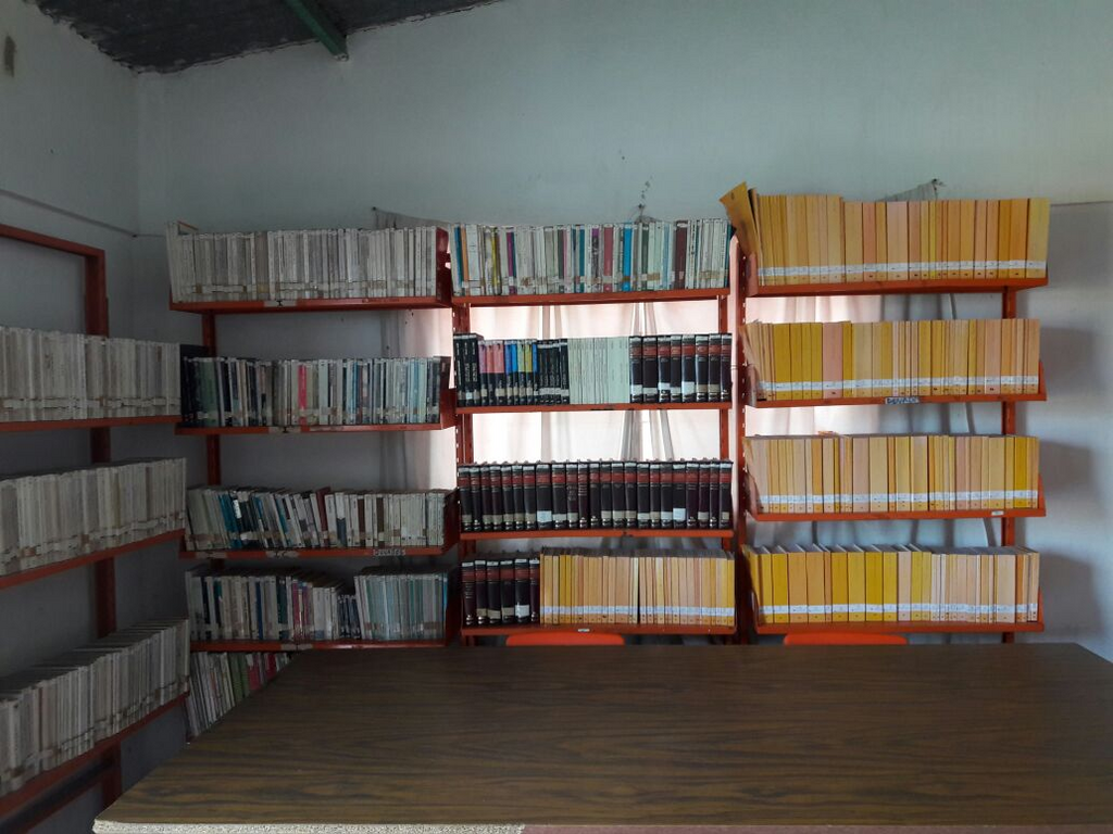 imagen2