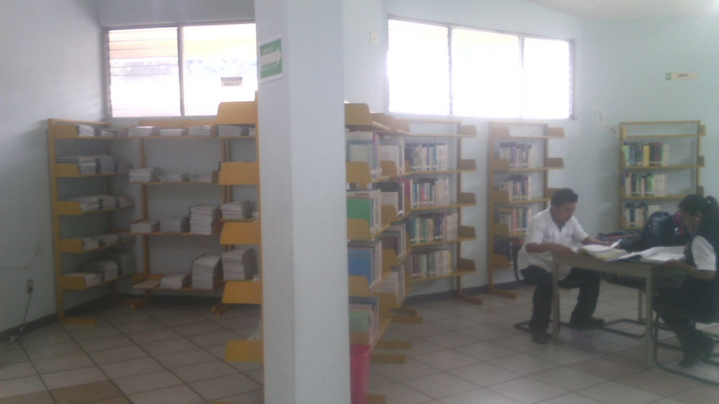 imagen3