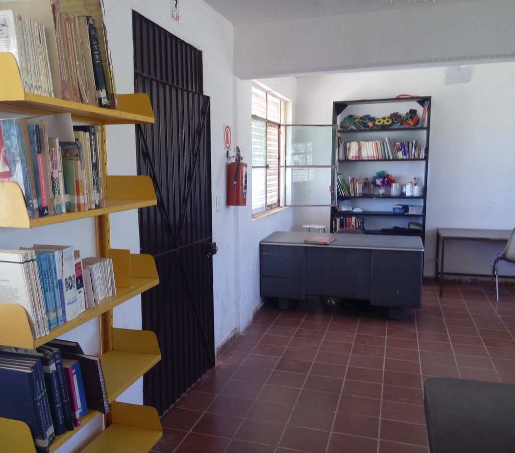 imagen1