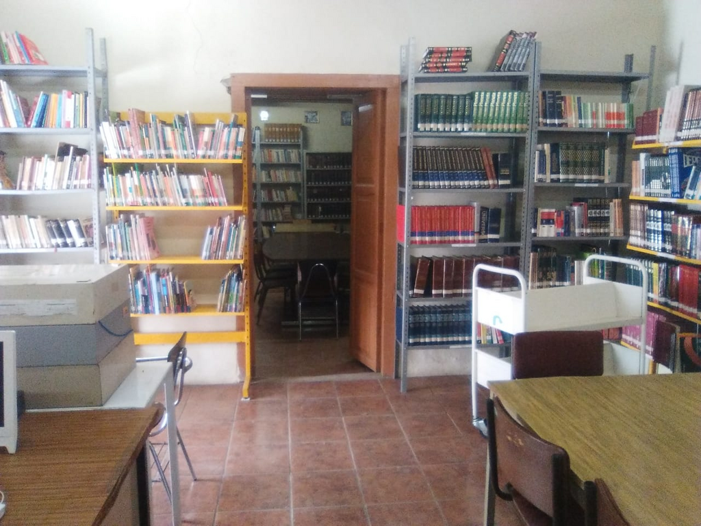 imagen3