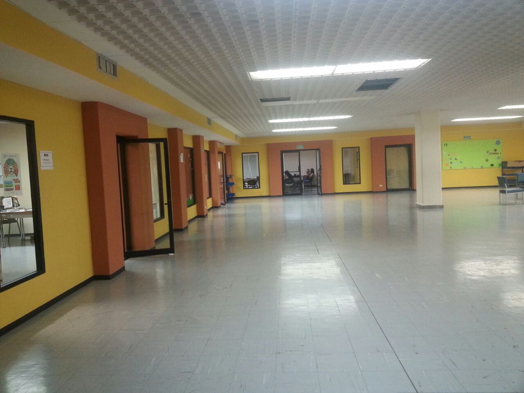 imagen3