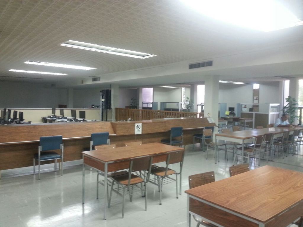 imagen1