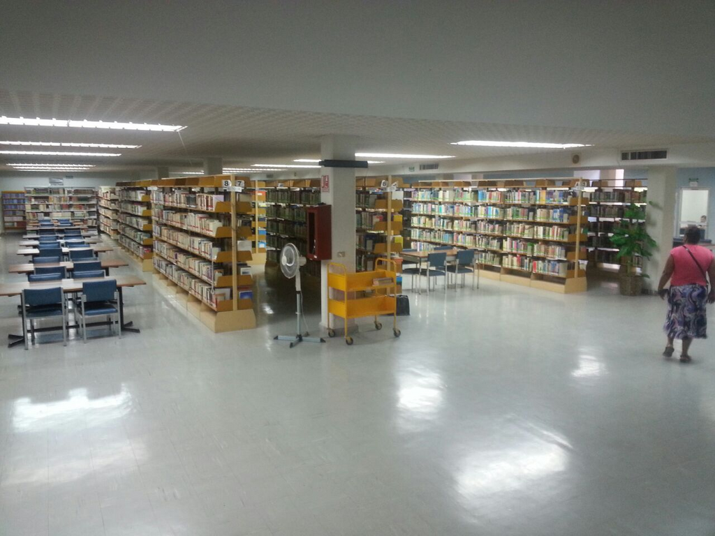 imagen2
