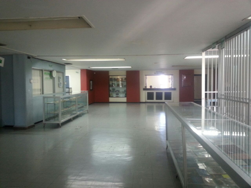 imagen1