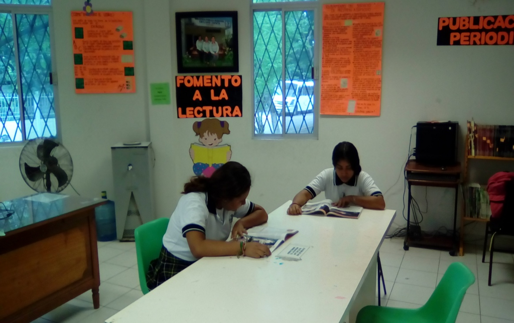 imagen1