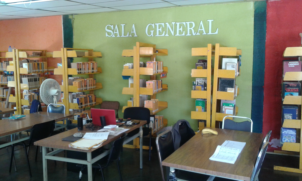 imagen3