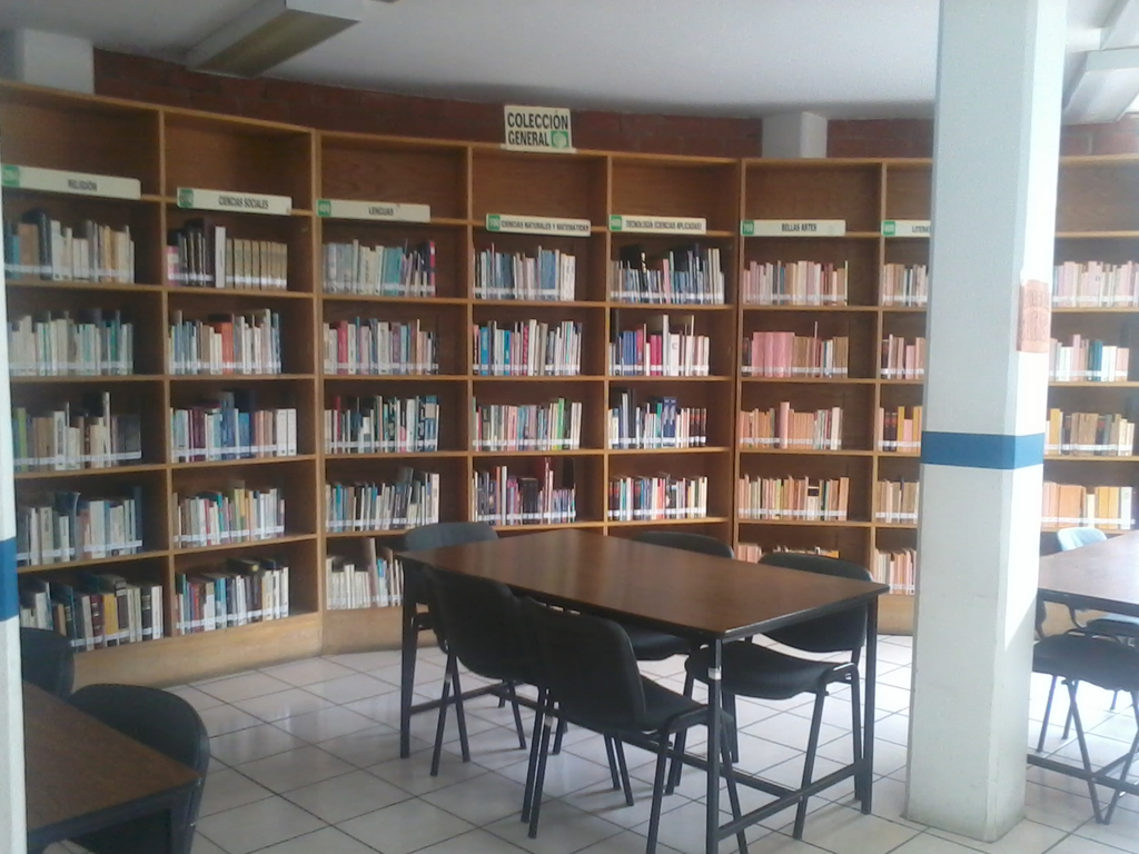 imagen3
