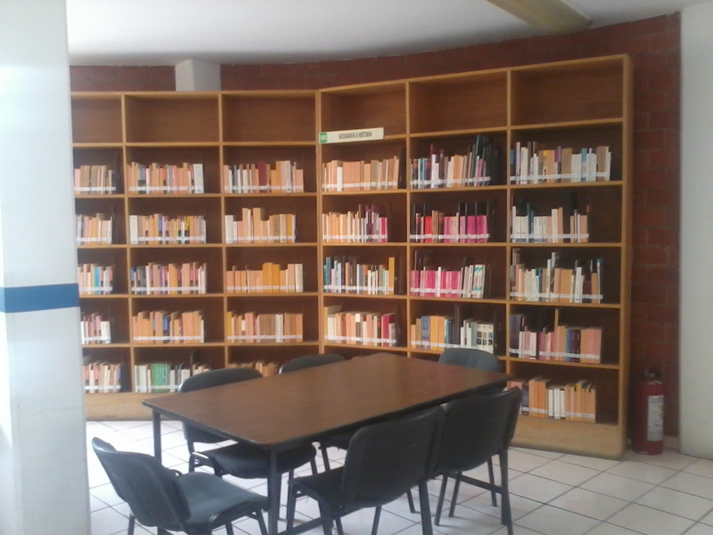 imagen3