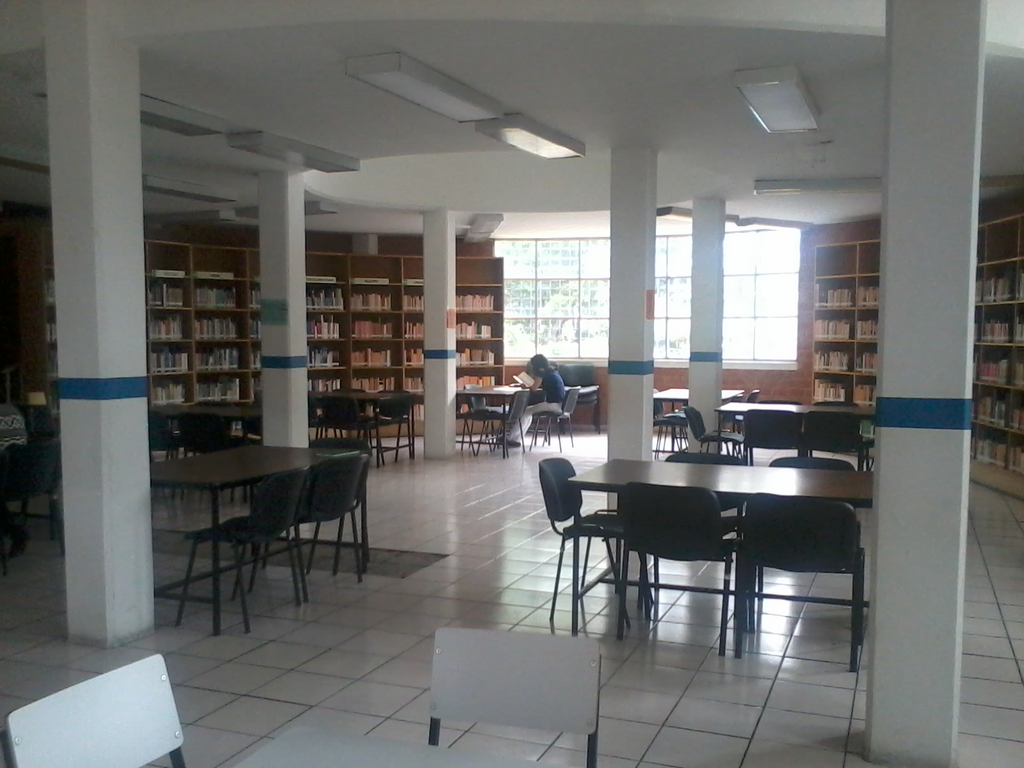 imagen1