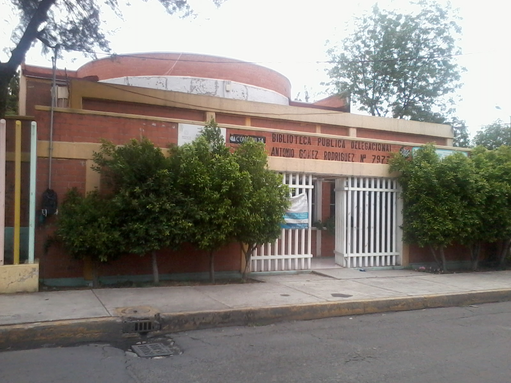imagen1