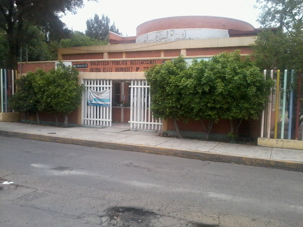 imagen1