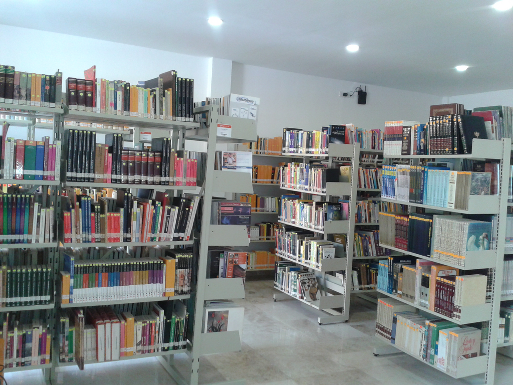 imagen3