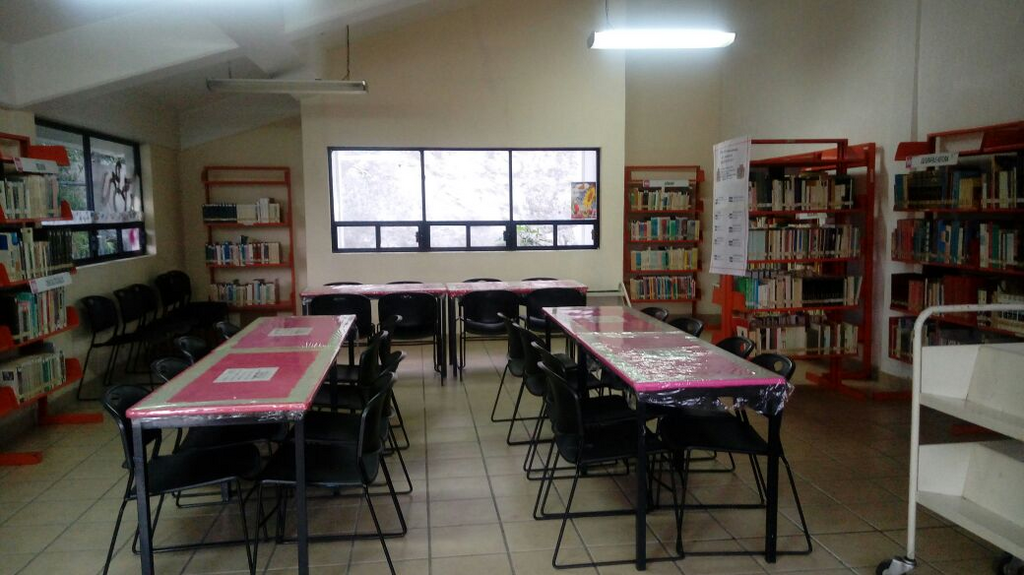 imagen3