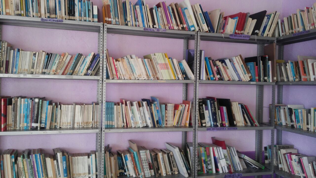 imagen2