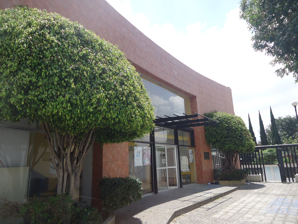 imagen2