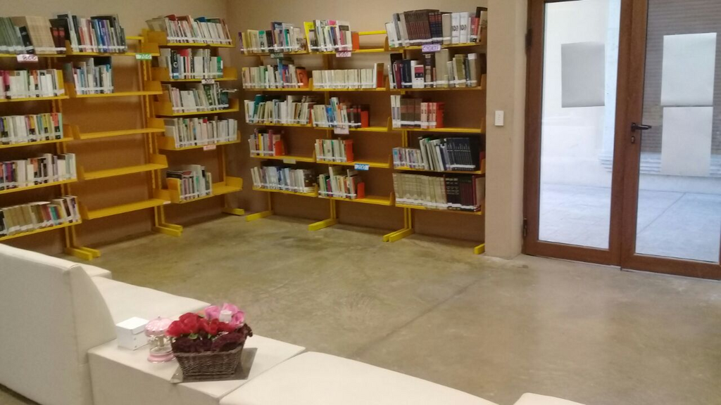 imagen1