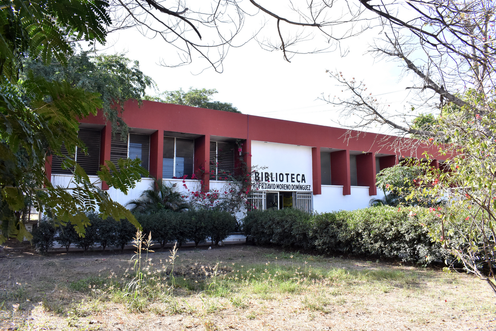imagen2