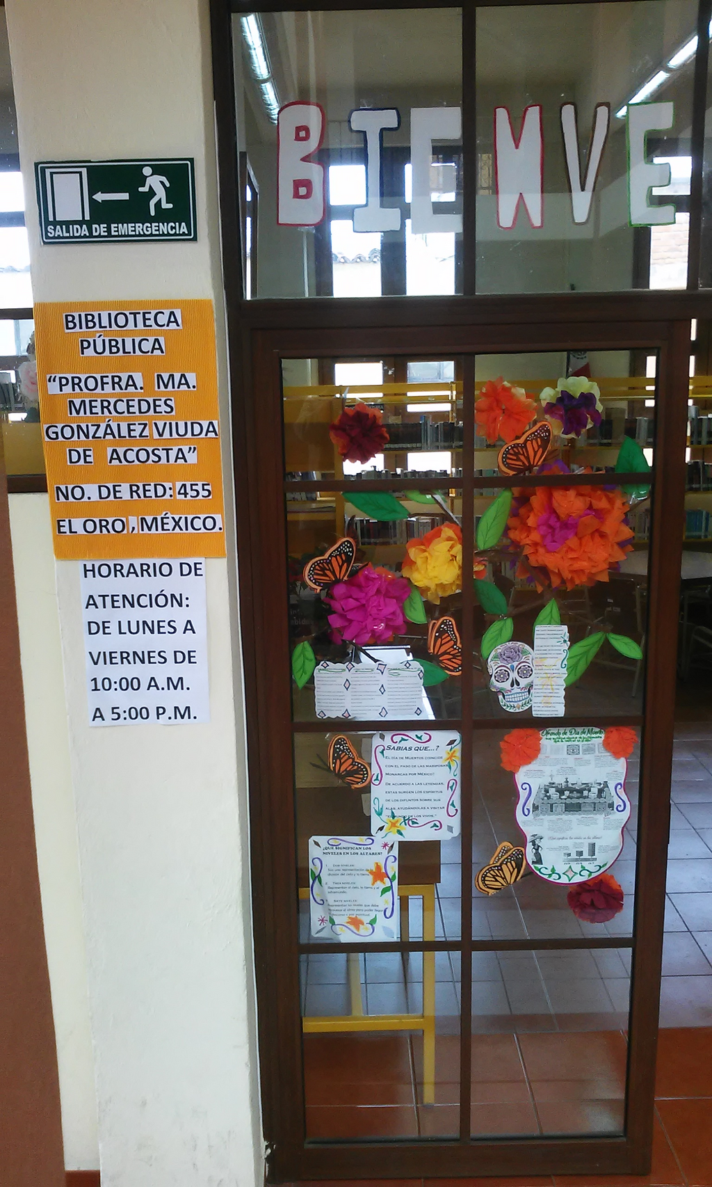 imagen1