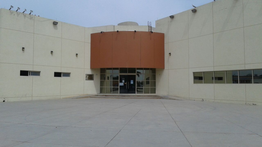 imagen1