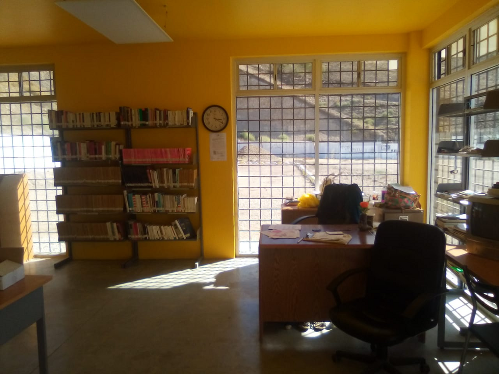 imagen1
