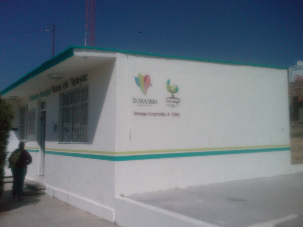 imagen3