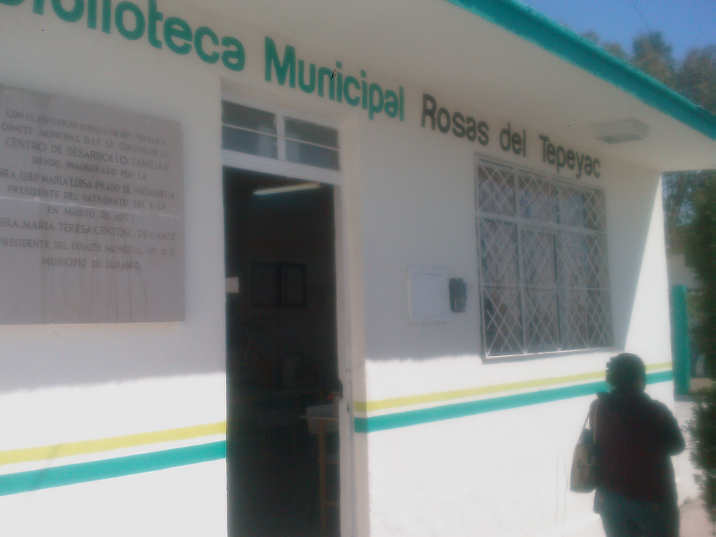 imagen3