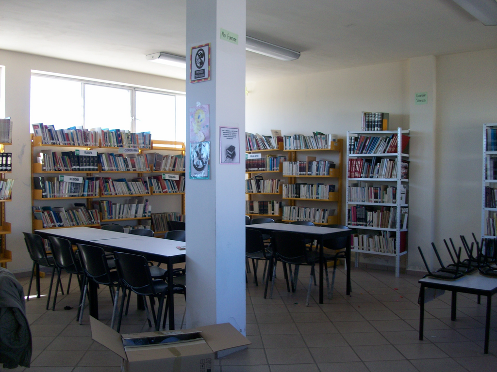 imagen1