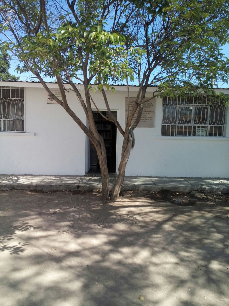 imagen0