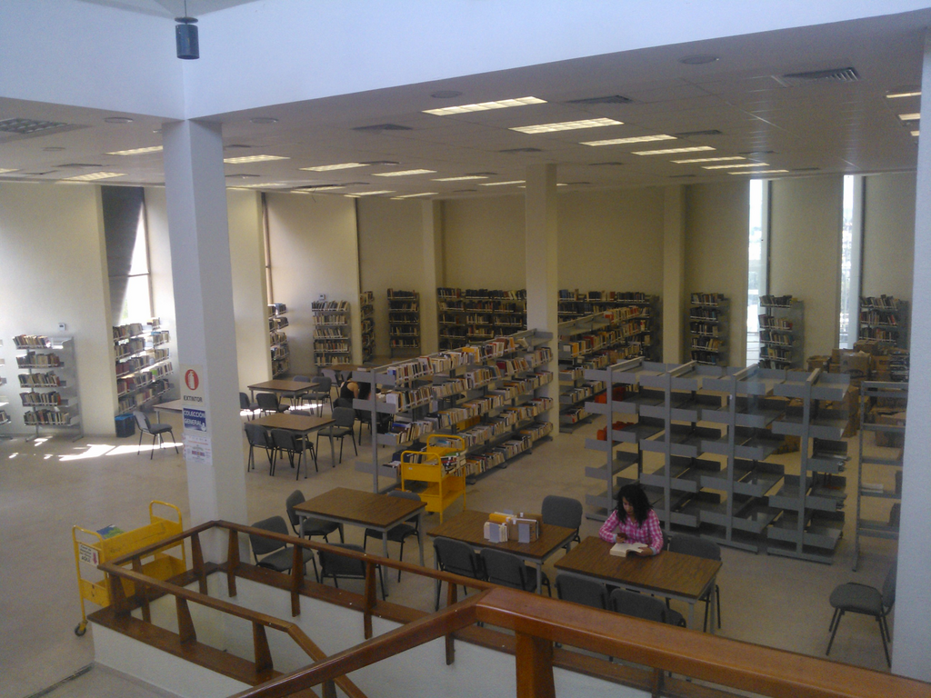 imagen1
