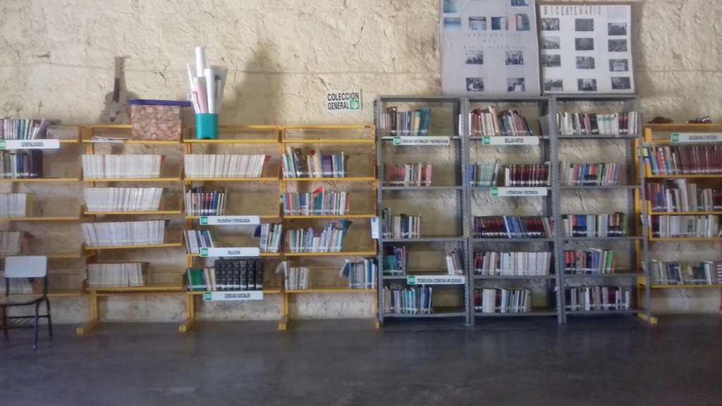 imagen3
