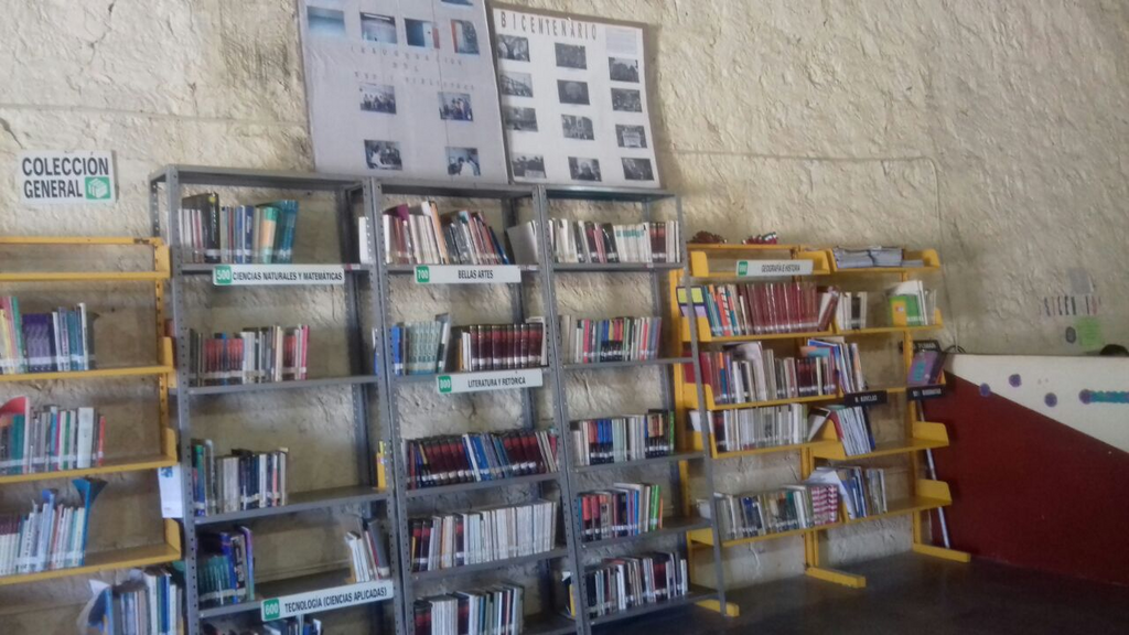 imagen1