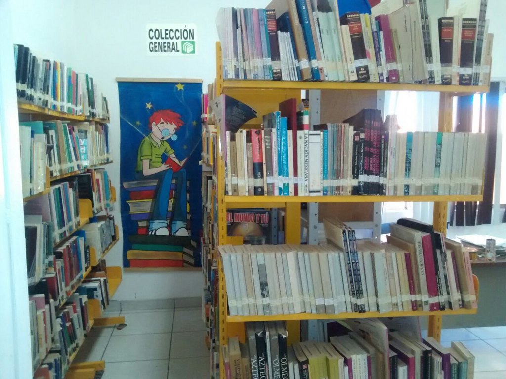 imagen1