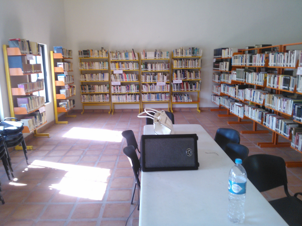 imagen3