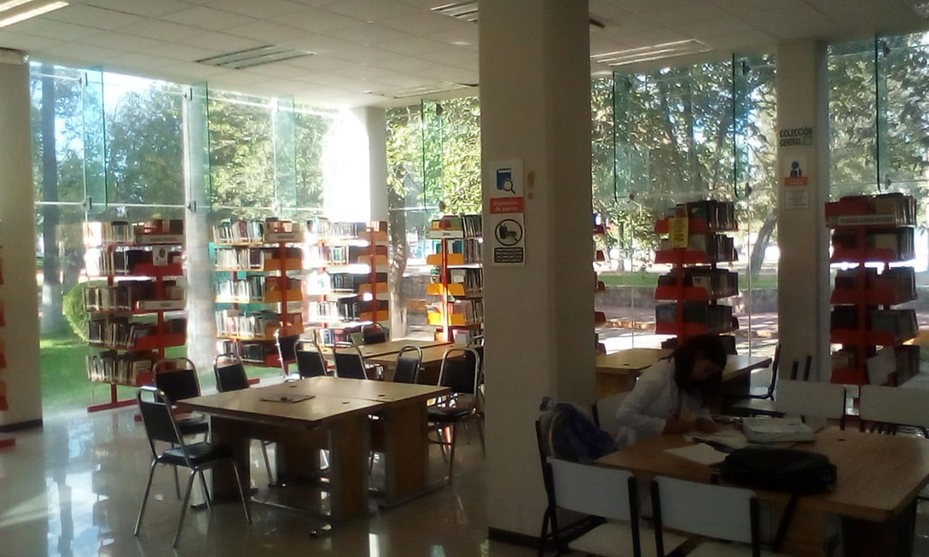 imagen3