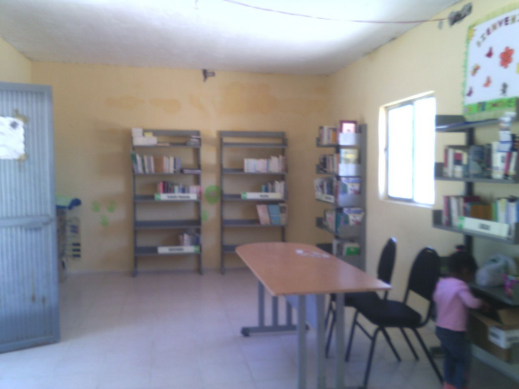 imagen1