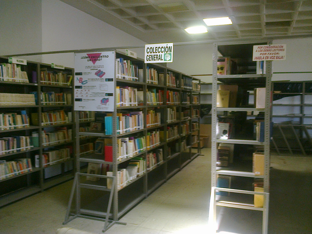 imagen3