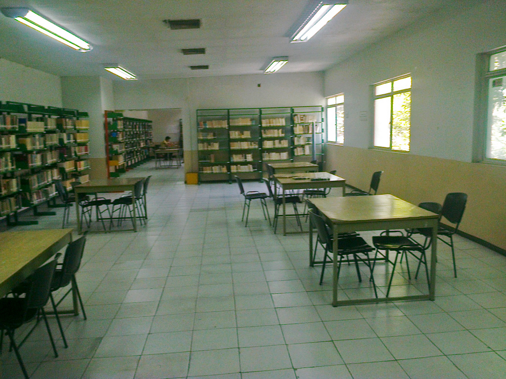 imagen1