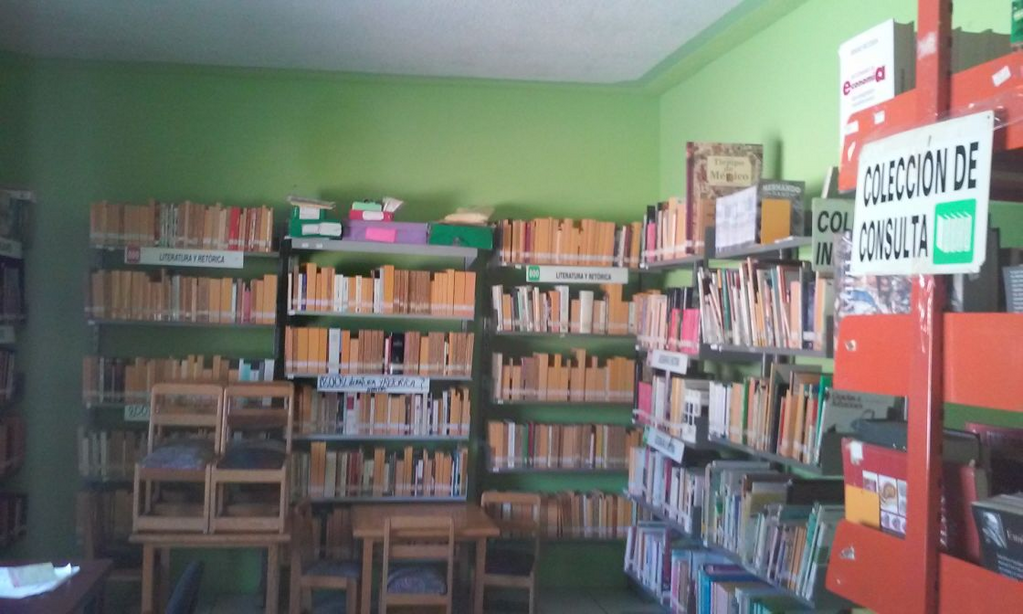 imagen3