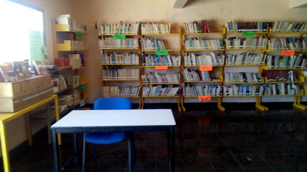 imagen1