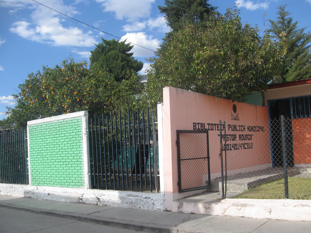 imagen1