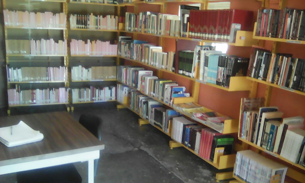 imagen1
