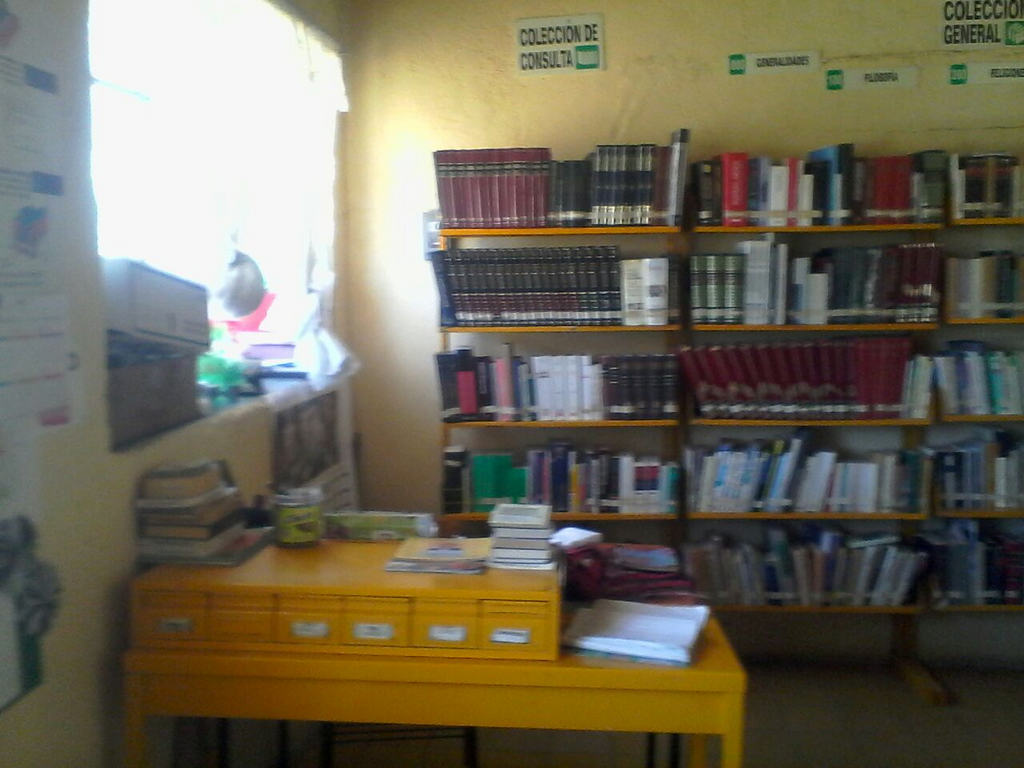 imagen1