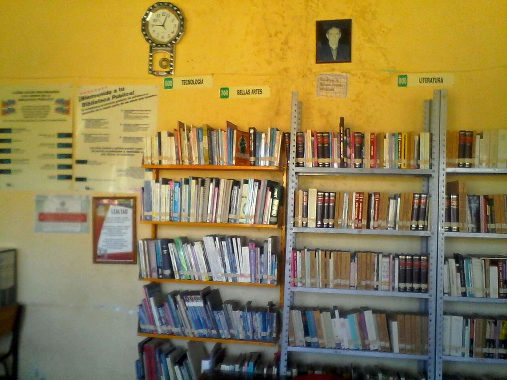 imagen1